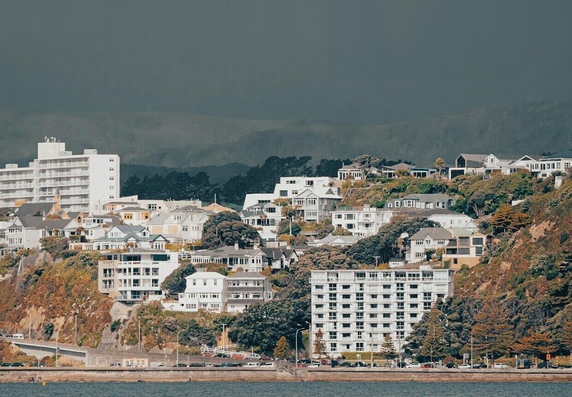 Houses on the hillside above Wellington harbour